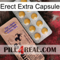 Erect Extra Capsule 41